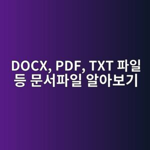 DOCX, PDF, TXT 파일은 무엇이 다를까? 문서 파일 종류 알아보기 2 docx pdf txt ed8c8cec9dbc eb93b1 ebacb8ec849ced8c8cec9dbc ec958cec9584ebb3b4eab8b0 1793007795